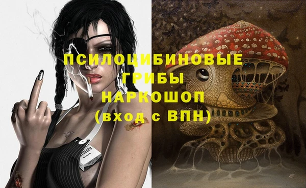 mdpv Сясьстрой