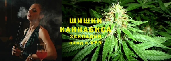 ECSTASY Тавда